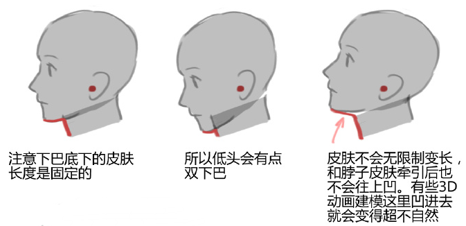 仰视角度的下巴和脖子怎么画？教你绘制人物下巴和脖子的关系体现