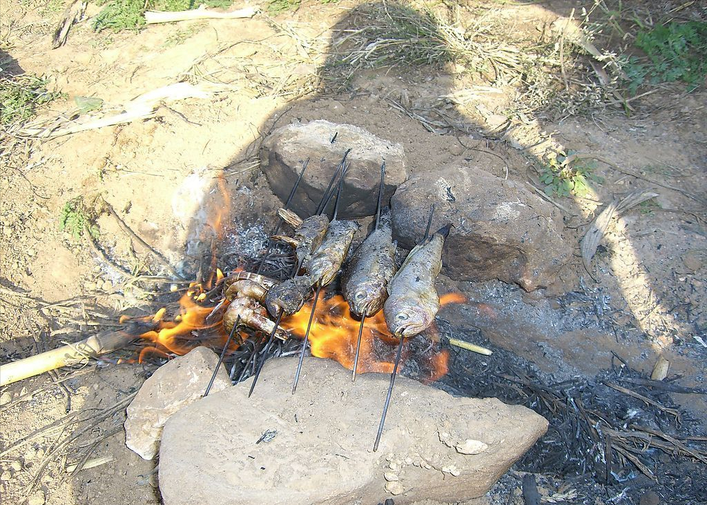 烧烤都可以烤什么烤串都有什么可以能烤什么好吃