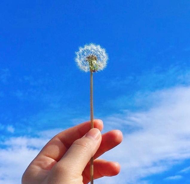 朋友圈正能量奋斗的励志语录 积极向上努力奋斗的句子图片