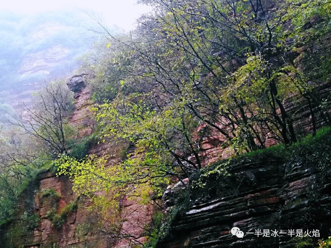 散文诗：秋天，适合一场说走就走的旅行-第1张图片-非凡网