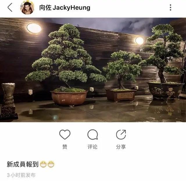 郭碧婷到底是怀没怀？向佐发文称欢迎新成员，向太也回应了