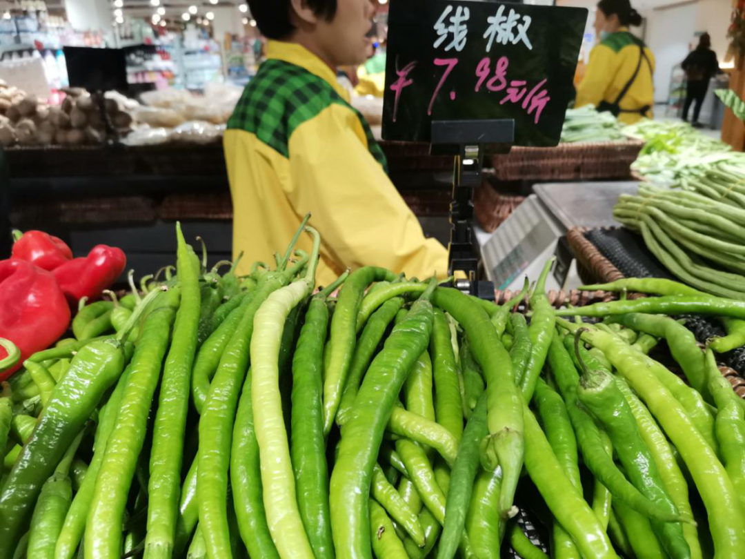 1300ƽ�վ�����20���򣡰�����������������ߵĵ���֮·