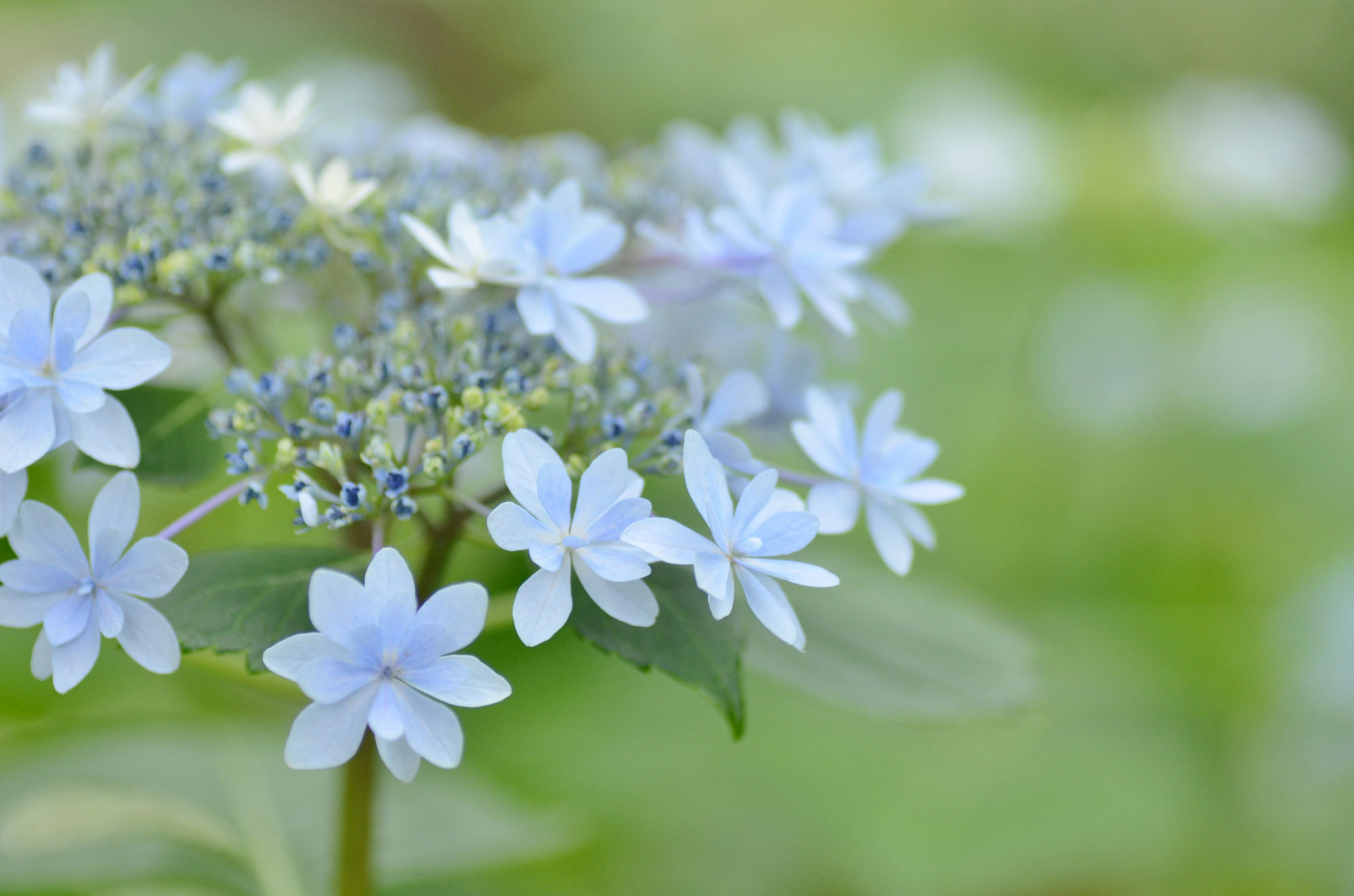 生活中的智者，都懂得四個字：“有所不為”