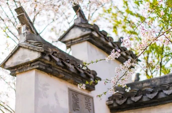 28首最美唐诗，带你领略古诗中的四季之美-第1张图片-非凡网