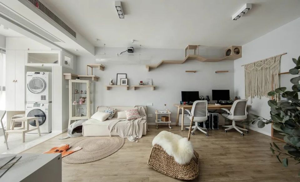 养宠家庭的“装修秘笈”┃ 东方一木科普