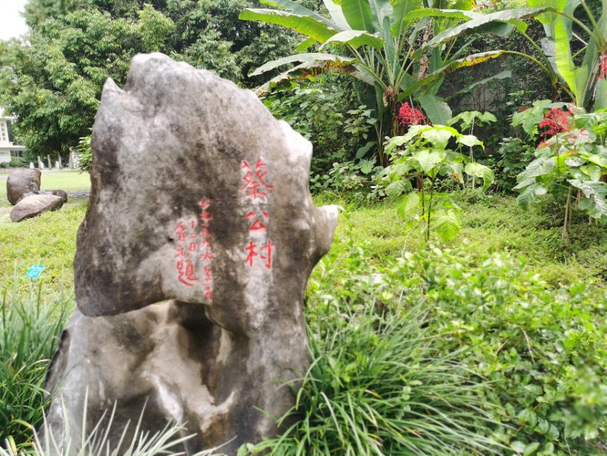 【跋涉边境亲吻祖国】25、走进中国面积最大的西双版纳植物园