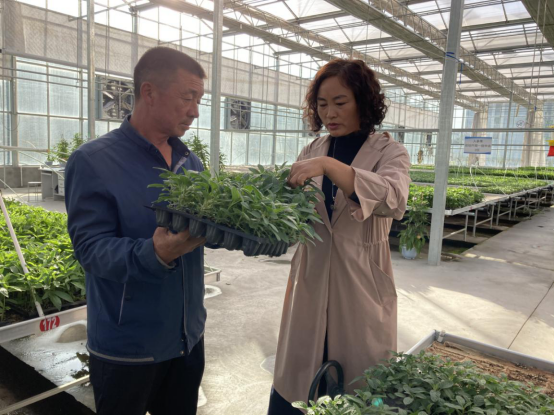 科技农业相融合 结出群众“致富果”
