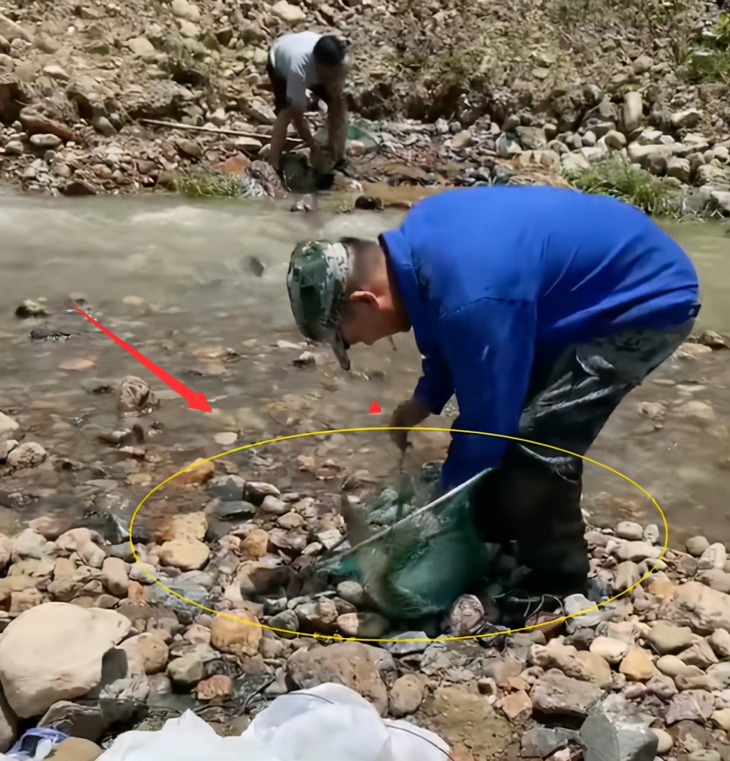 浙江紹興一水庫放水，大量鰱鳙魚擱淺，老鄉(xiāng)：撿魚撿到手軟