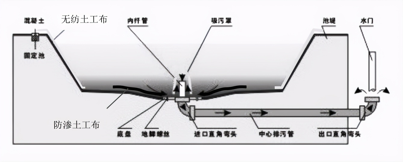 基金项目：豫选黄河鲤鱼苗培育及生态养殖技术