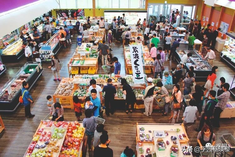 日本“免费送房”背后的乡村“消失”危机，人