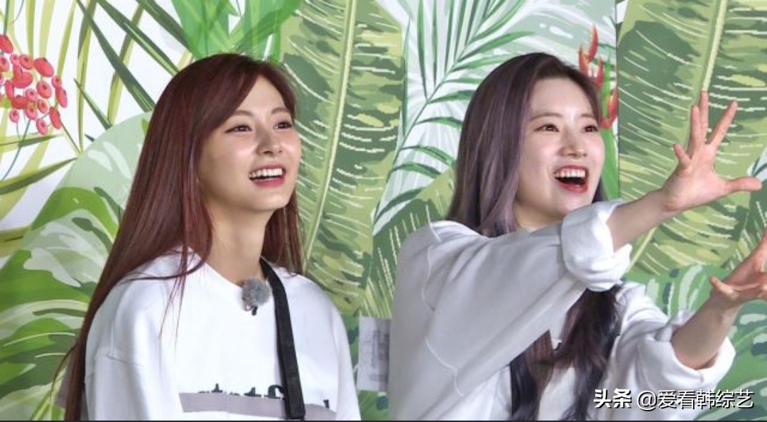 TWICE以破格的乱舞与《RM》成员展开乱舞对决，现