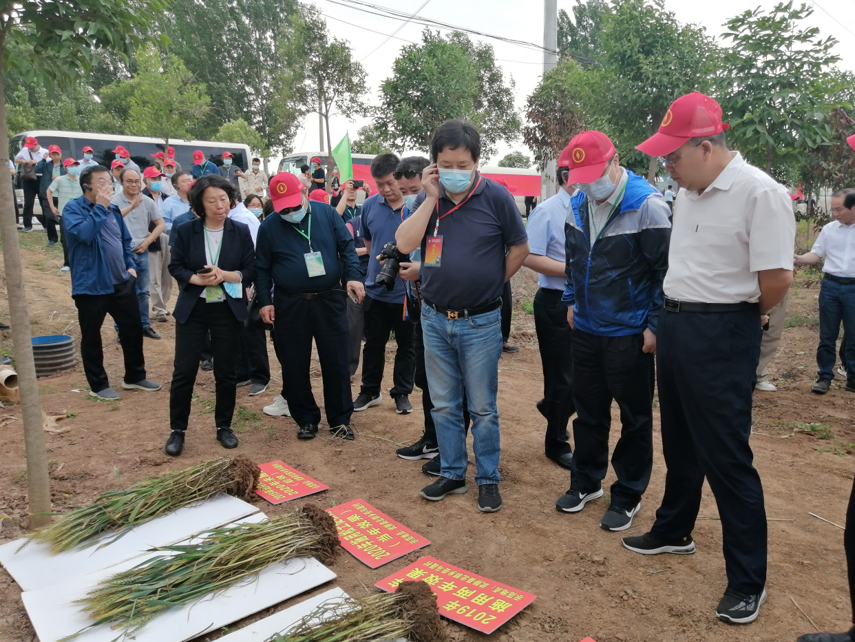 加强高标准农田与耕地质量建设 端牢中国饭碗