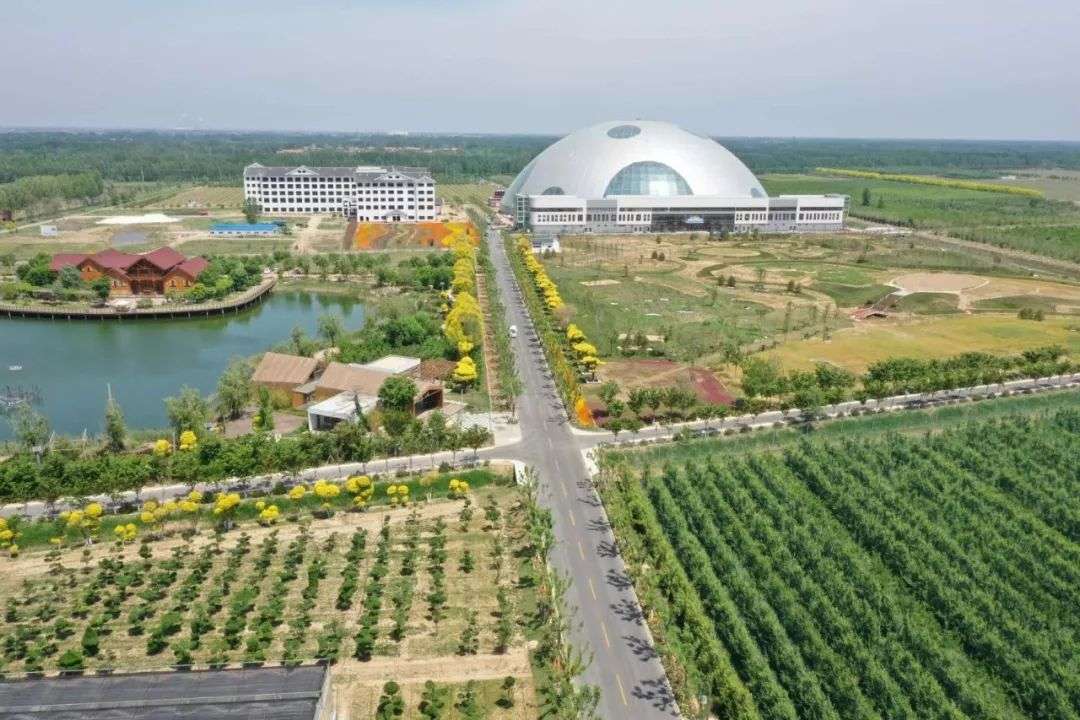 经济地位居于全国第三，却挡不住人才流失，山东到底有什么隐忧？