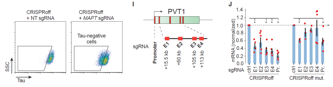給CRISPR加上開關！通過表觀遺傳操控基因表達