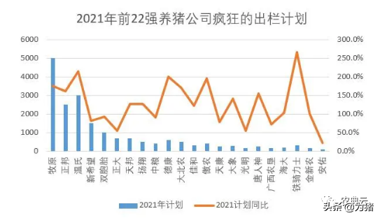 22个猪企2021年出栏规划18967万头，增长142.9%