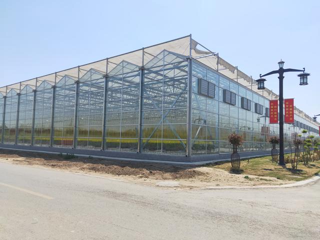 温室种植小知识之网槽式基质栽培