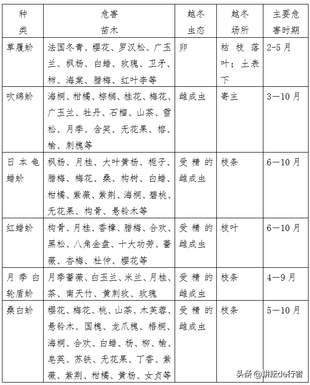 园林常见病虫害汇总-第9张图片-农百科