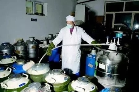 绝不平“氮”的氮气