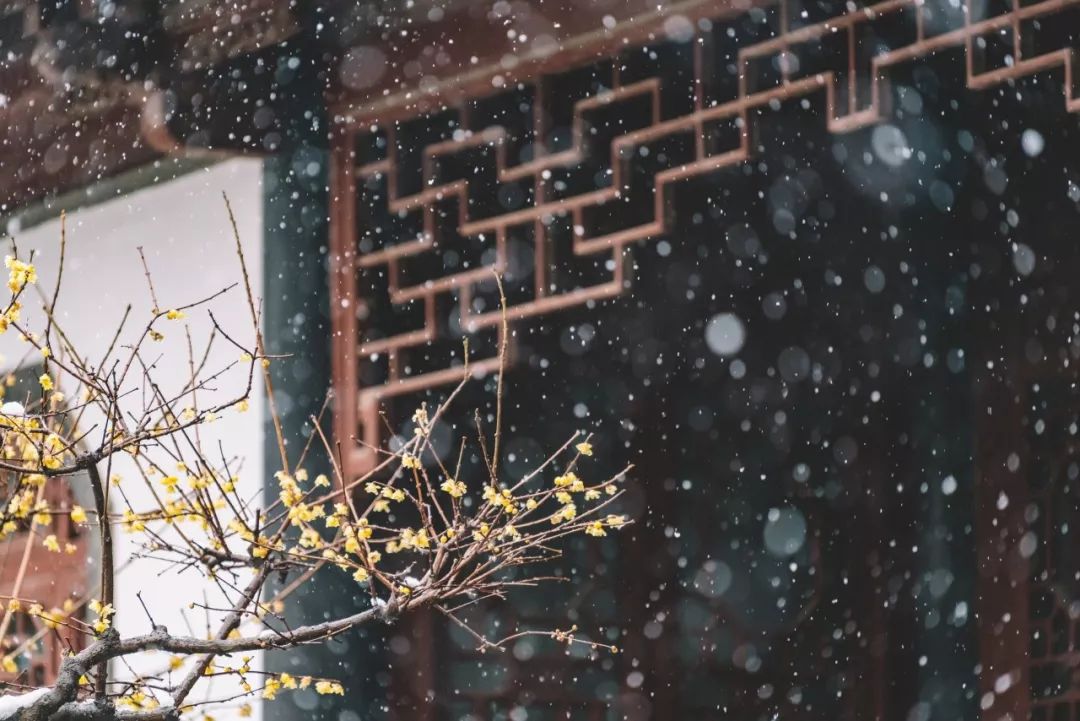 诗词里的100个冬天，那么冷，那么美-第2张图片-非凡网