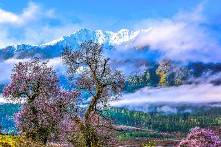 A scenic spot in Tibet became popular, known as "Xitian Yaochi", free admission ticket does not lose Baikal