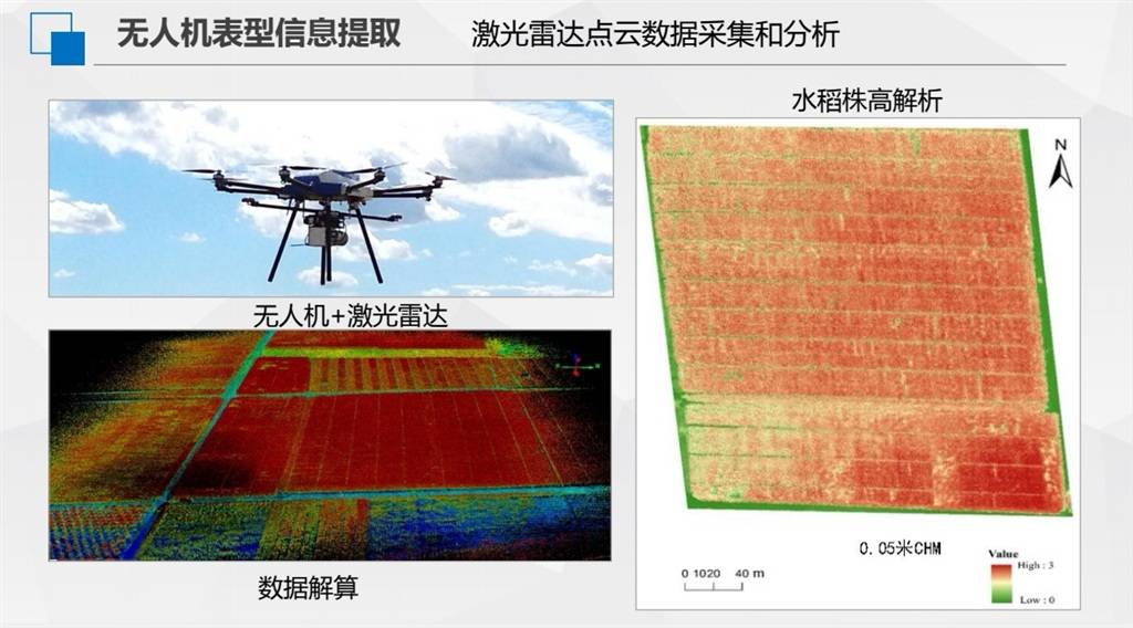 助力农业“芯片”提升做强 沪农科院联合成立新型专业研究平台