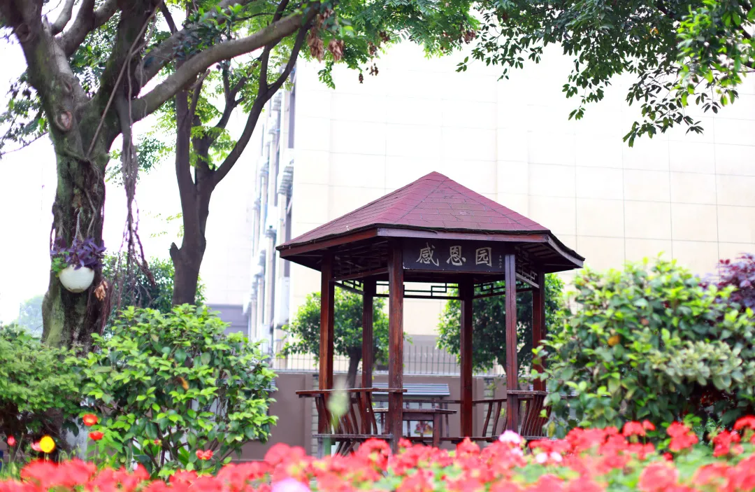 成都市双流区棠湖小学阅读课程｜阅读，悦心，约未来