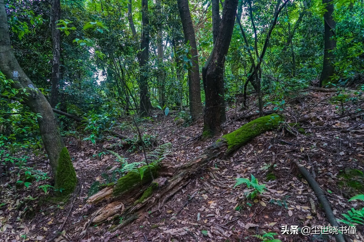 王维很有哲理的一首诗，每一句都是至理名言，读懂了受益终身-第2张图片-非凡网