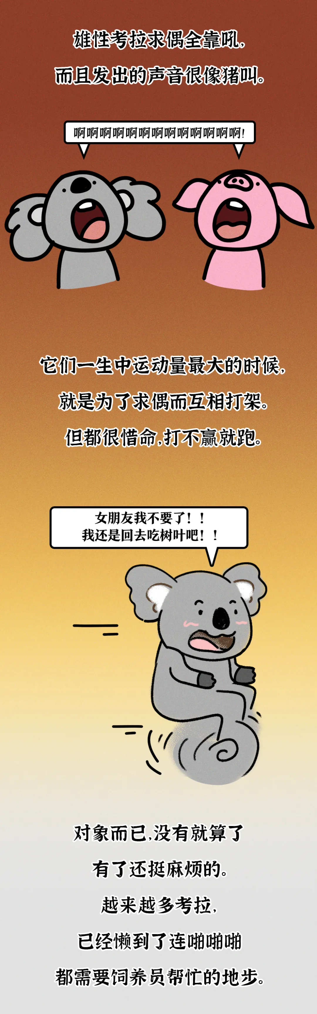 吃屎長大，一生嗑“毒”，這么萌的動物卻這么慘？
