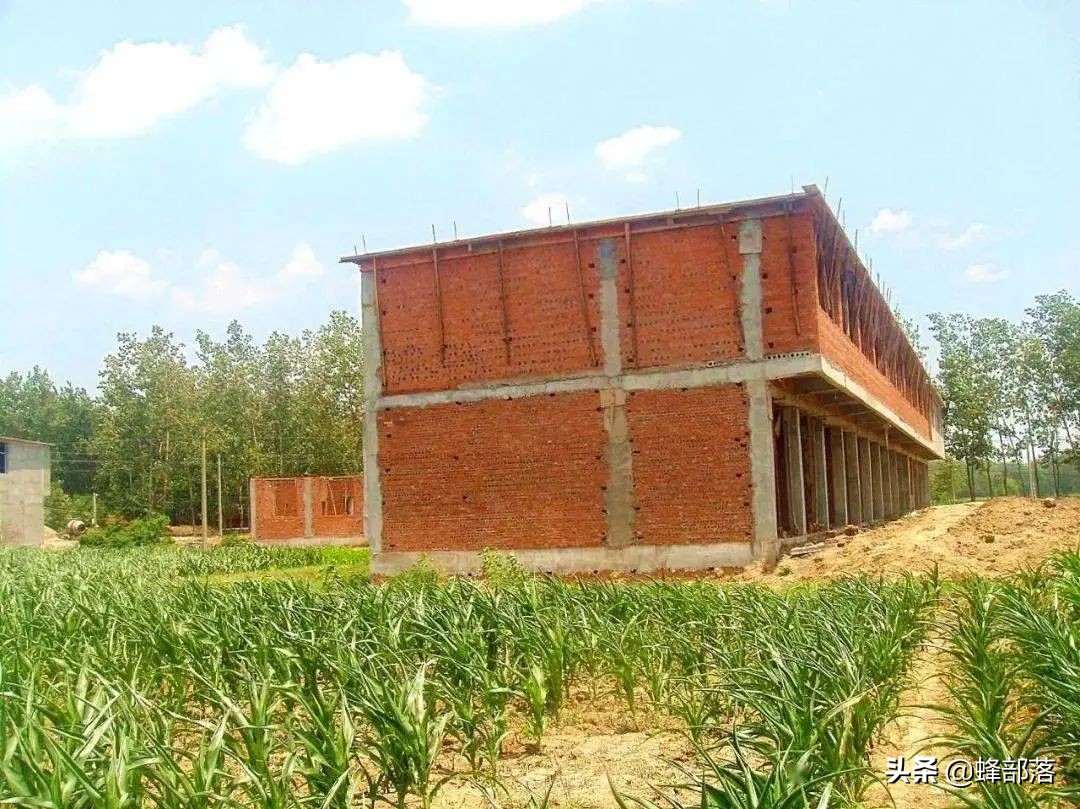 9月土地新规落地，已经占用耕地建房的会被拆吗？分3种情况解决