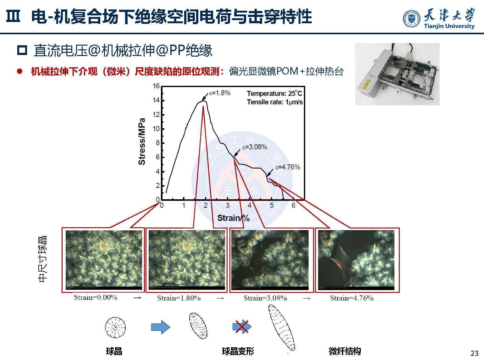 天大李忠磊副教授：多物理场下直流电缆绝缘电荷输运与击穿特性