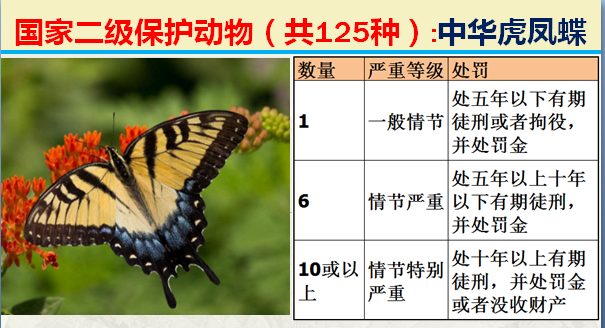 国家最新125类二级野生保护名录，图片及违法对应刑责