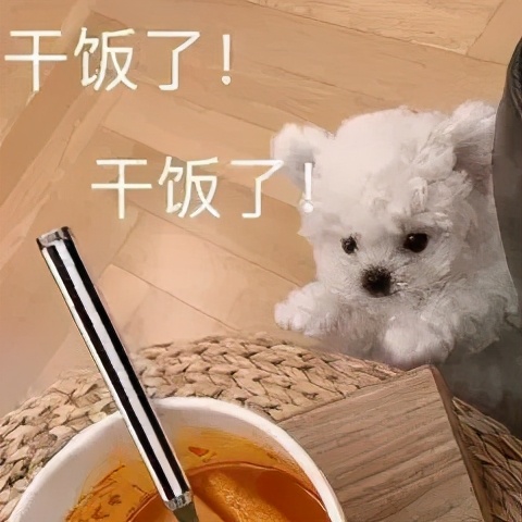 "干饭了干饭了"快乐表情包