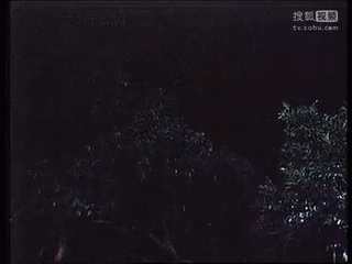 为什么武侠片里的大侠都会飞？