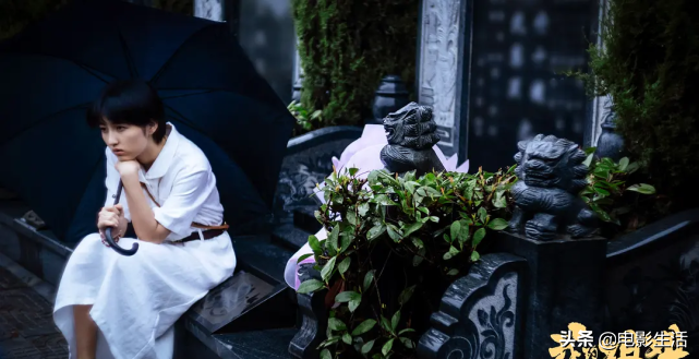 " my elder sister " day booking office gains the championship, zhang Zifeng of 20 years old, why can so " horizontal " ? 