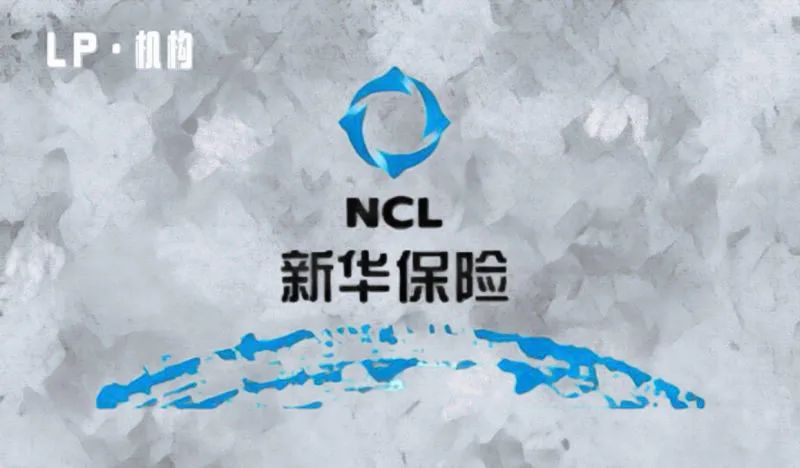 新华保险股权投资简报 | IIR