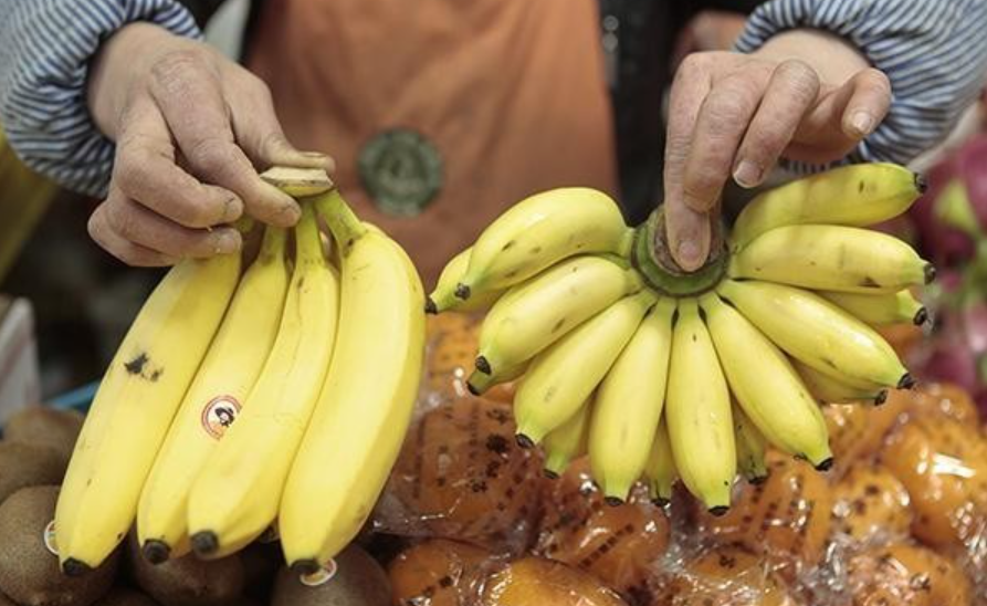 买香蕉时，挑直的还是弯的？水果贩子漏嘴了，看完别再买错了