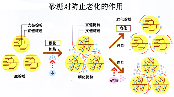 一分钟认识烘焙原料 | 淀粉