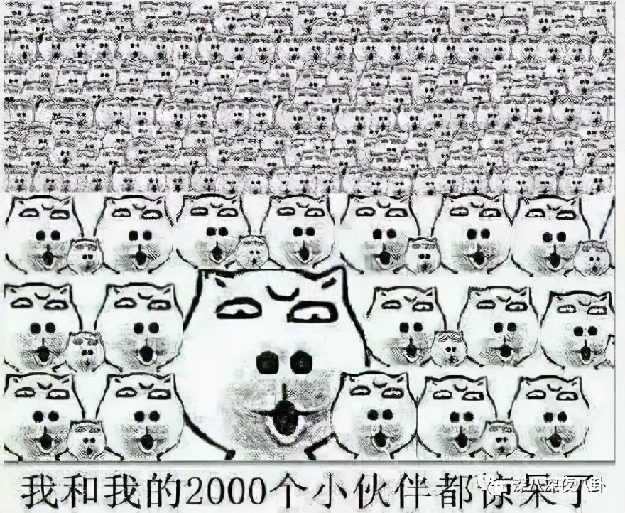 都要报警了，还有人相信“哥哥是个傻白甜”？-第39张图片-大千世界