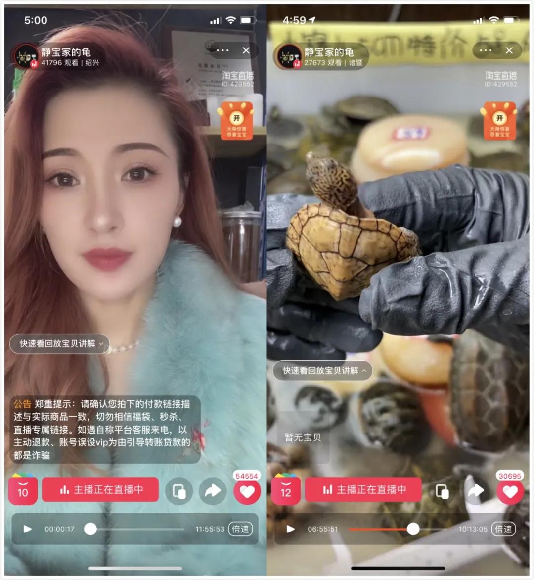 12万粉丝，撬动两千万销售额，萌宠生意在直播中爆发了嘛？