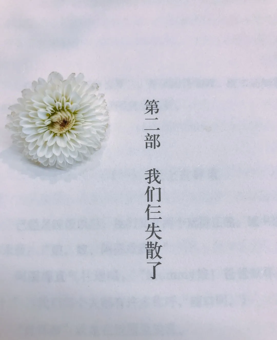 有些人注定会在一起