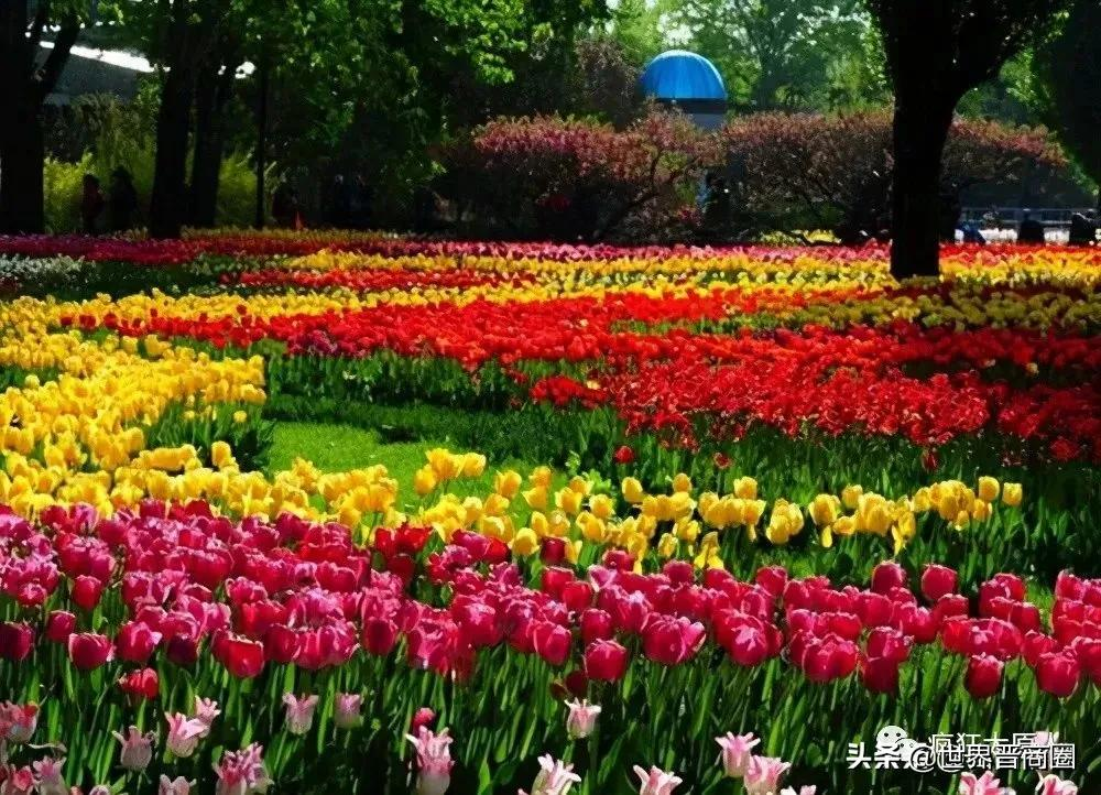 长风西利好!“中央公园”列今年城建计划!河西农贸市场或将拆除