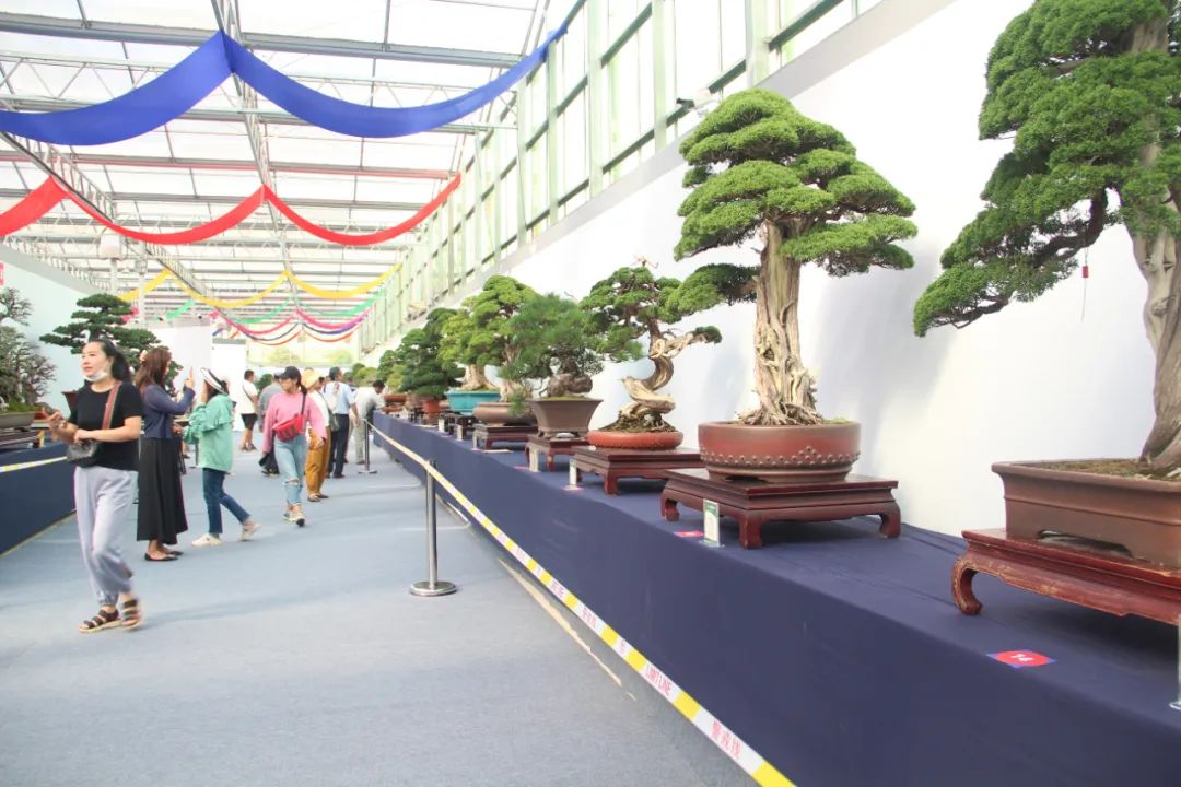 定了！2021第九届沭阳花木节将于9月底举行