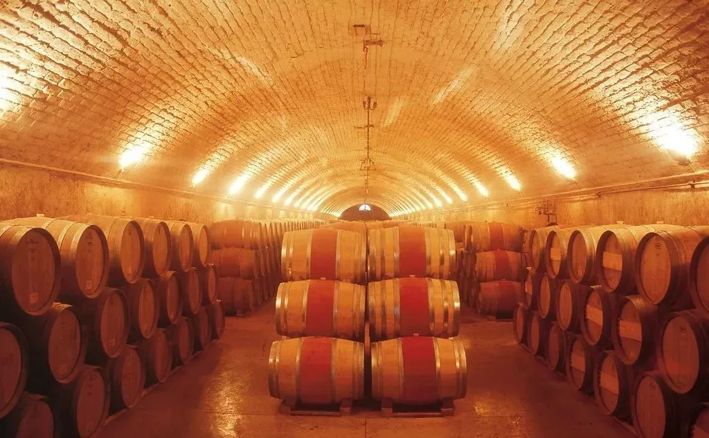 史上最全酿酒全过程详解，建议收藏（多图）