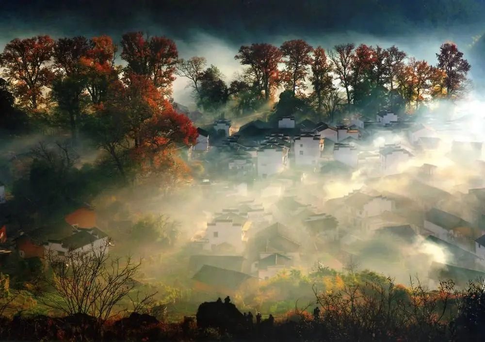 Missing these 14 maple viewing areas in November is equivalent to missing the entire autumn