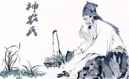 承载中华文化五千年，关于茶的故事，你知道多少？