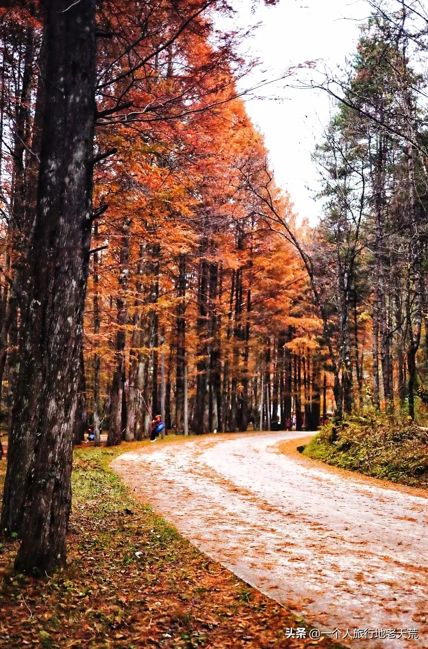 秋天中国最美的10个旅行地，看到第一个，我就忍不住了