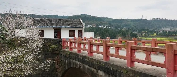 四川苍溪|水墨苍溪 那些诗意栖居的湖