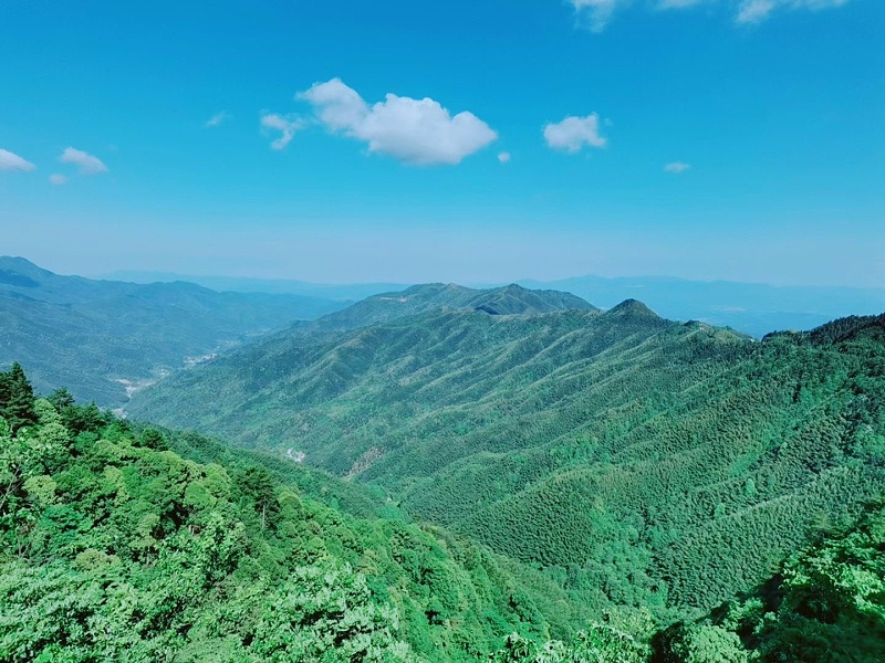 寻迹井冈山，重温红色历史，感受星火燎原的力量，弘扬井冈山精神