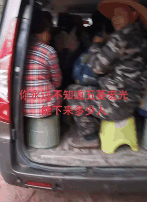 大河报汽车网