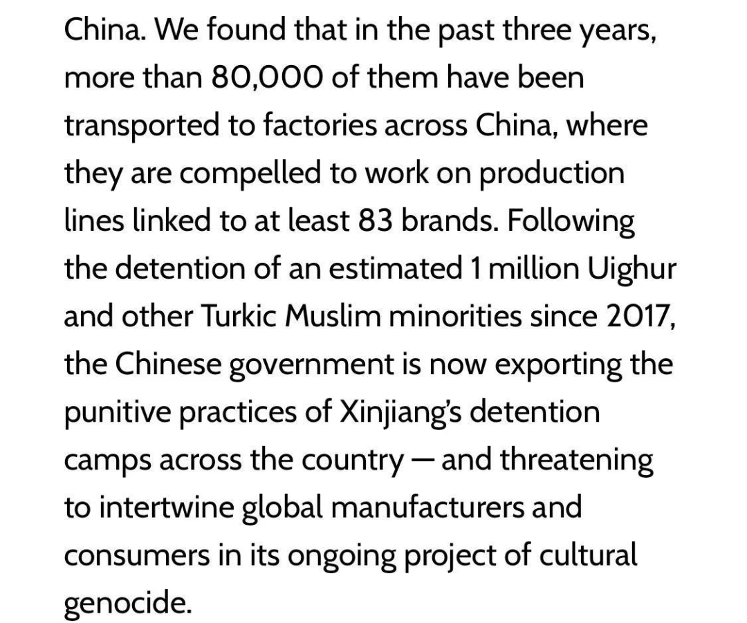 Nike、HM等外国品牌抵制新疆棉花的幕后是个中国女孩-第10张图片-大千世界